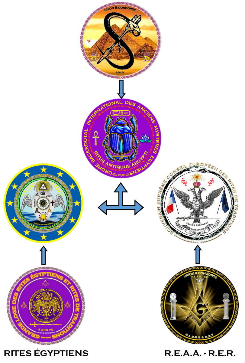 Organigramme de l’Ordre